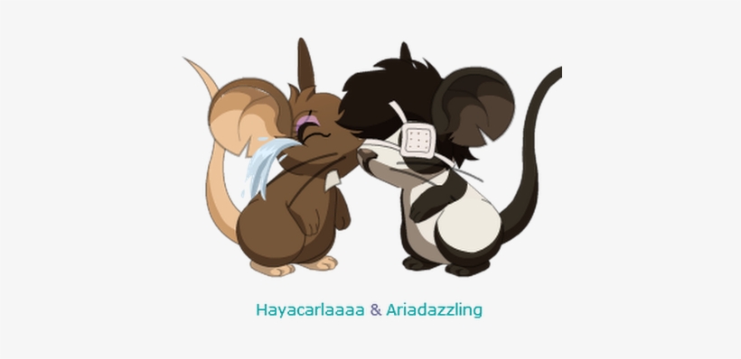 Photo - Photograph, transparent png download