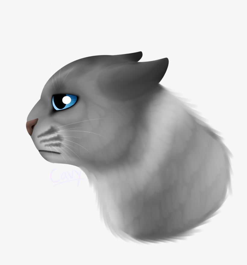 Generic Sad Cat - Cat, transparent png download