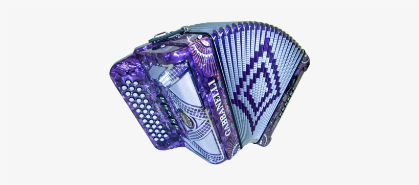 Because I Love The Color Purple - Acordeon Gabbanelli De Botones, transparent png download