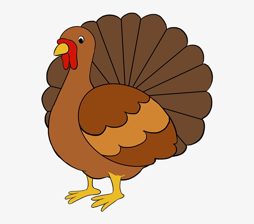 Drawn Turkey Transparent - Turkey Drawing, transparent png download