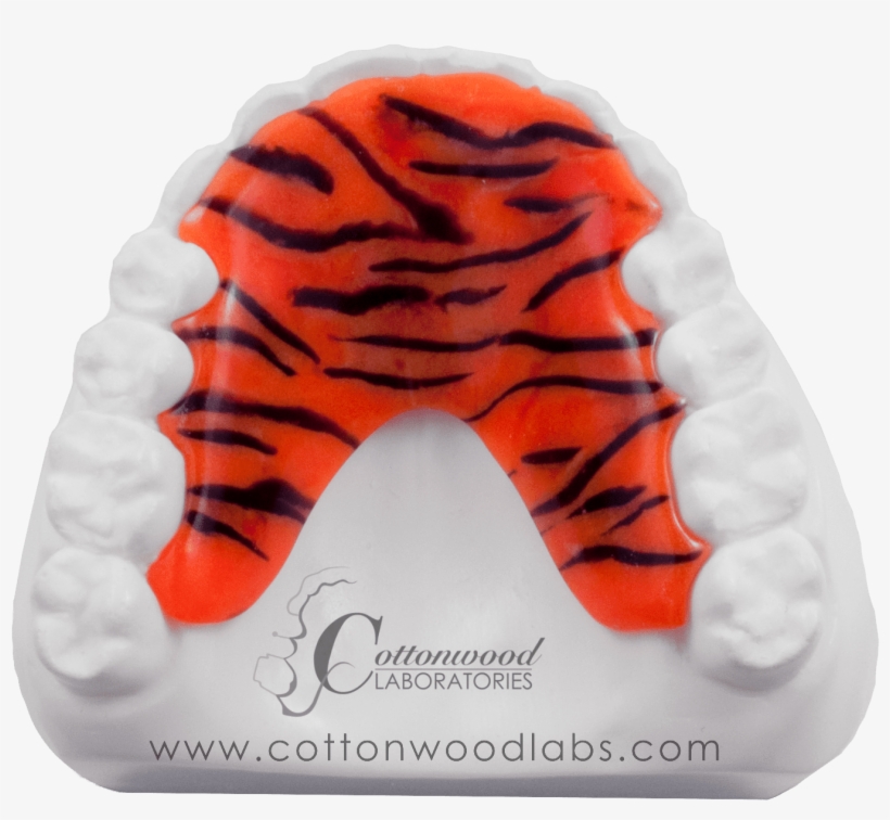 Tiger, transparent png download