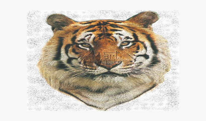 Tiger Graphics Art Realistic Painting Elephant Skin - Siberian Tiger, transparent png download