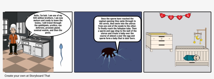 Life Of A Sperm - Cartoon, transparent png download