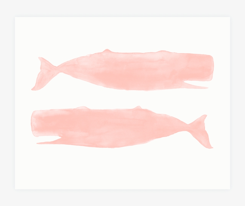 This Delightful Print Is A Reproduction Of My Original - Sole, transparent png download