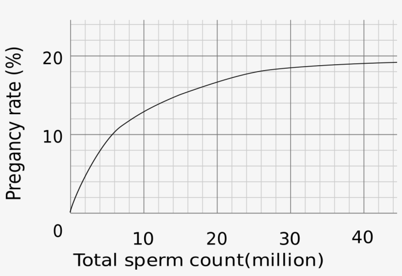 Success Rates By Amount Of Sperm - Sperm Count Pregnancy Rate, transparent png download