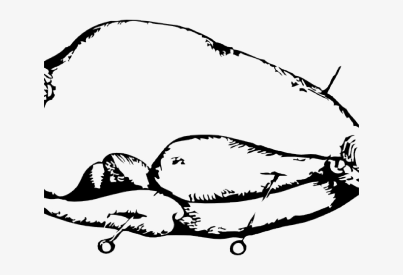 Drawn Turkey Transparent - Roasting, transparent png download