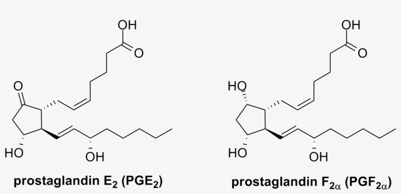 Image - Diagram, transparent png download