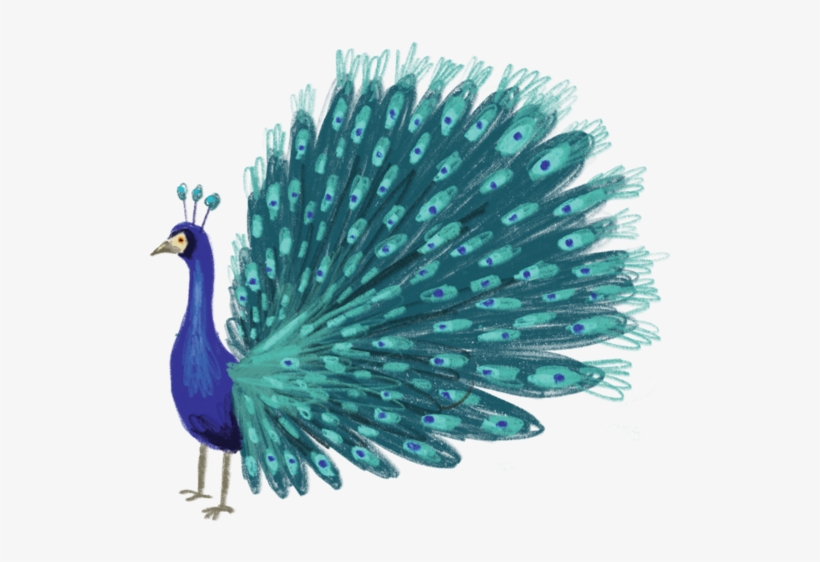 Blue Peacock - Tattly, transparent png download