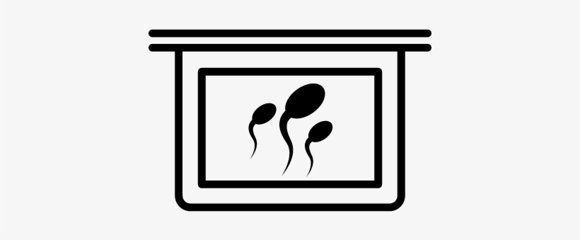 Image Of Sperm Cells Vector - Xray Clipart, transparent png download