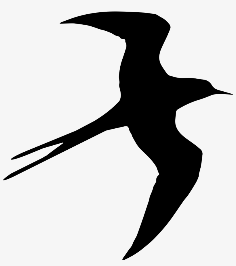 Swallow Bird Flying Silhouette - Pajaro Negro Dibujo, transparent png download