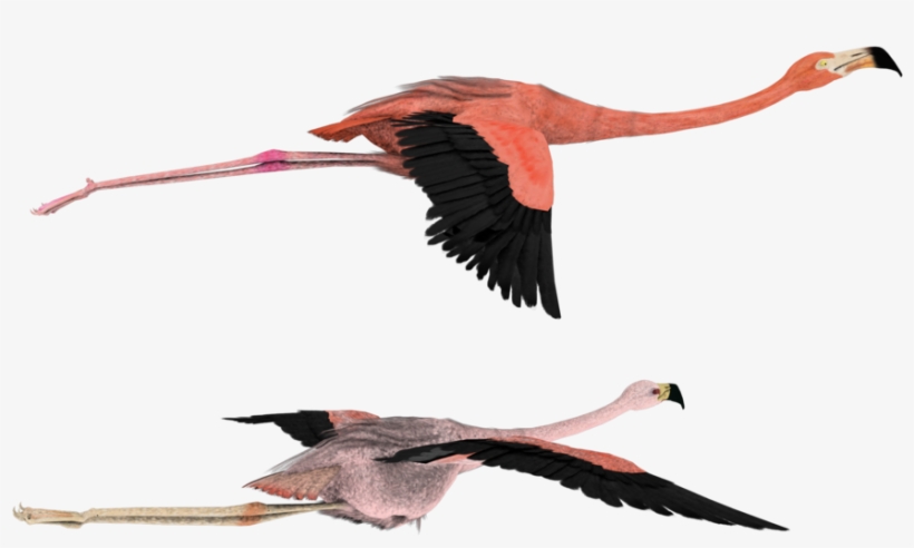 That Way Pink Flamingos By Madetobeunique On - Transparent Background Flying Flamingo Png, transparent png download