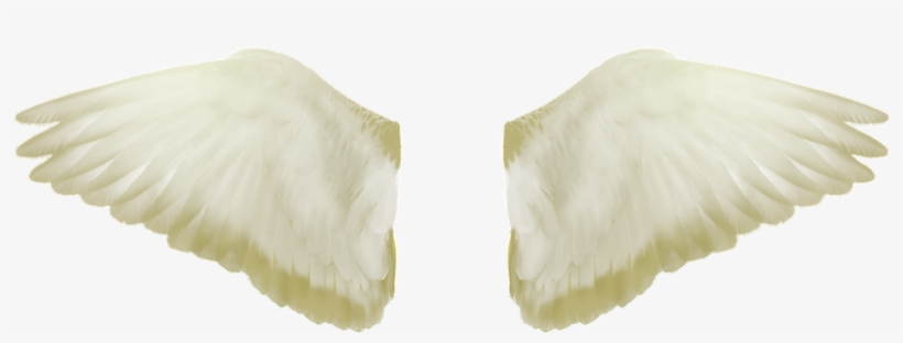 Wings, Flight, Freedom, Flying, Fly, Png - Eagle, transparent png download