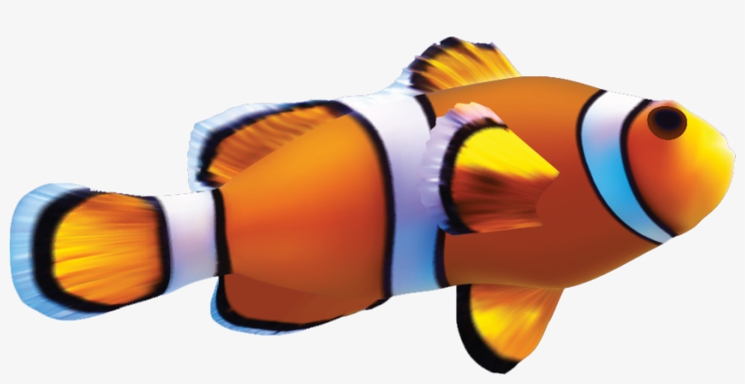 Close - Marine Aquarium Fishes Png, transparent png download