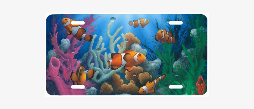 Clown Fish - Sea Coral Reef Painting, transparent png download