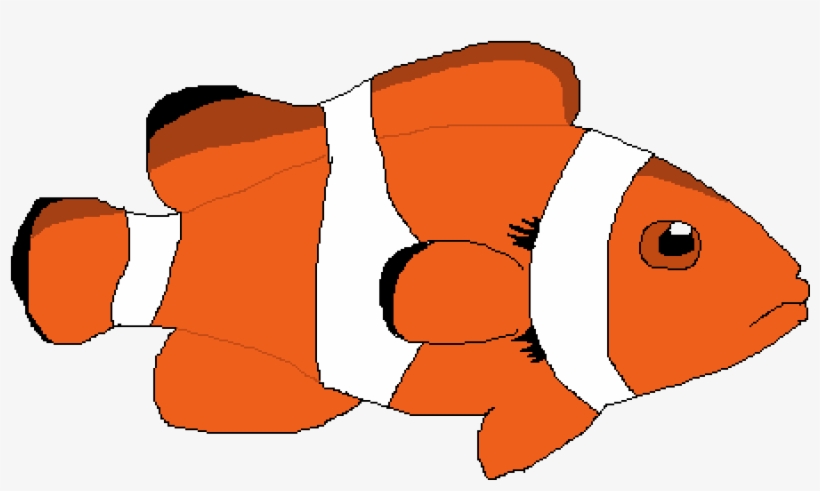 Clownfish - Coral Reef Fish, transparent png download