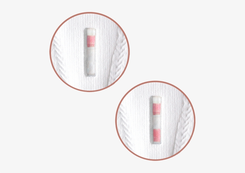 Hcg Levels Rise Rapidly, Doubling Every Few Days - Positive Lia Pregnancy Test, transparent png download