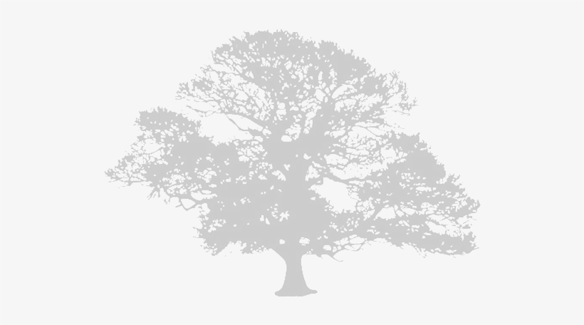 Claxton Grange - Oak Tree Silhouette Png, transparent png download