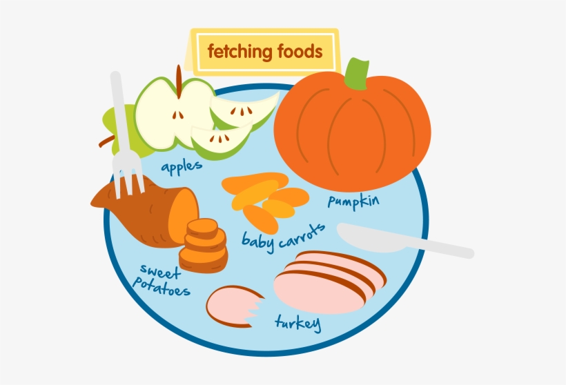 Treat Recipes For Your Dogs And Cats - Dog Food, transparent png download