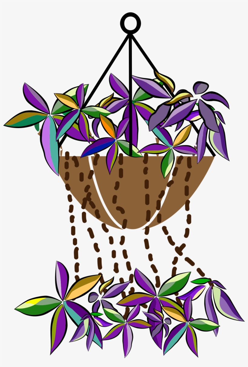 Free Photos > Public Domain Images > Bromeliads Flowers - Vector Graphics, transparent png download