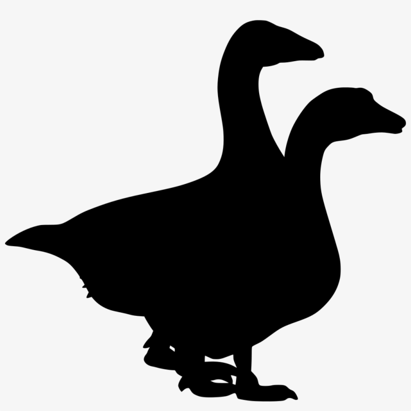 Download Png - Mallard Duck Silhouette, transparent png download