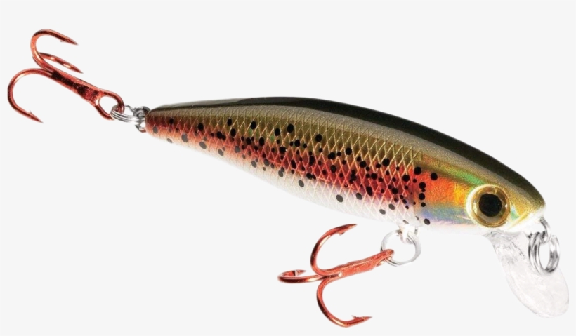 #fishing #fish #nature #bassfishing #fishinglife #outdoors - Best Trout Lures, transparent png download