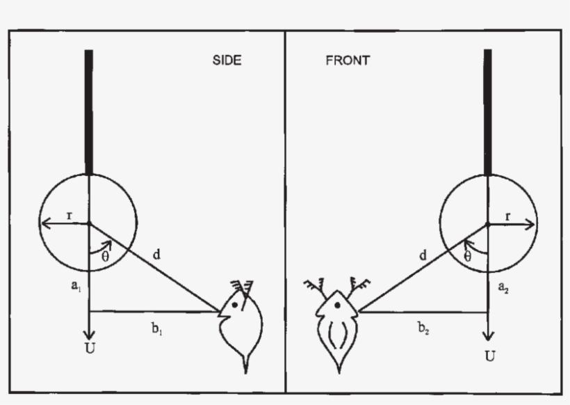 Coordinate System Used In The Calculation Of Escape - Diagram, transparent png download