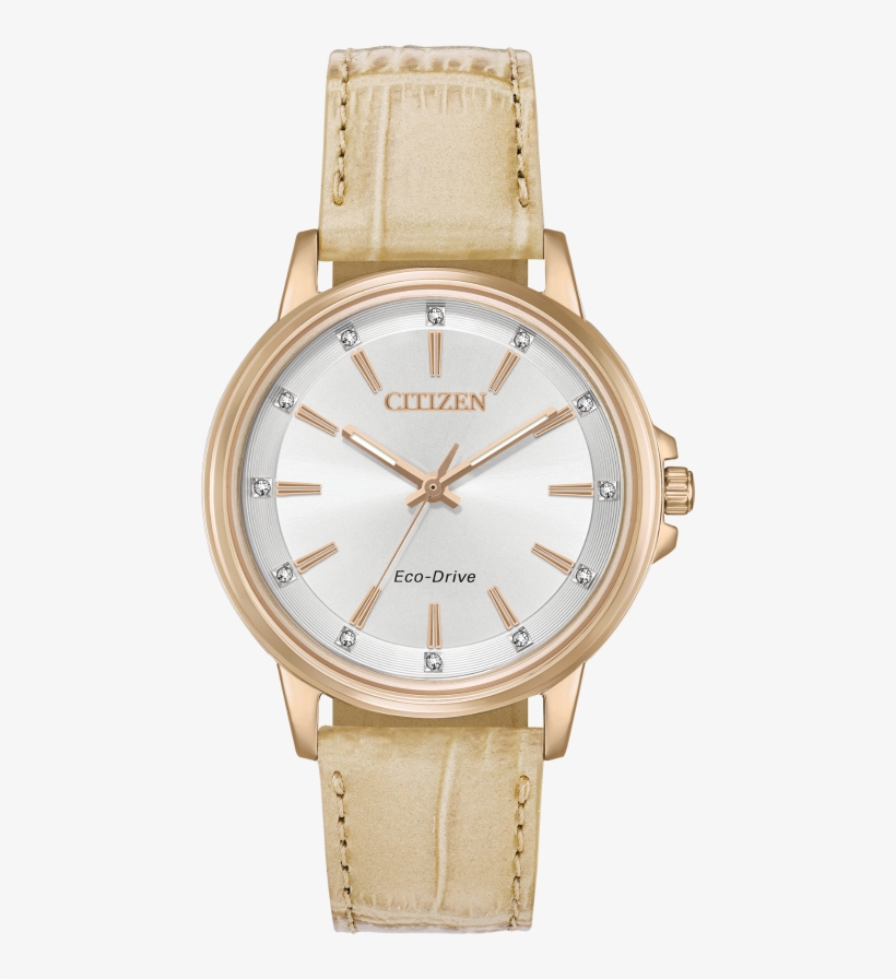 Citizen Chandler Gold Leather Ladies Watch - Shinola Orange Rubber Strap, transparent png download