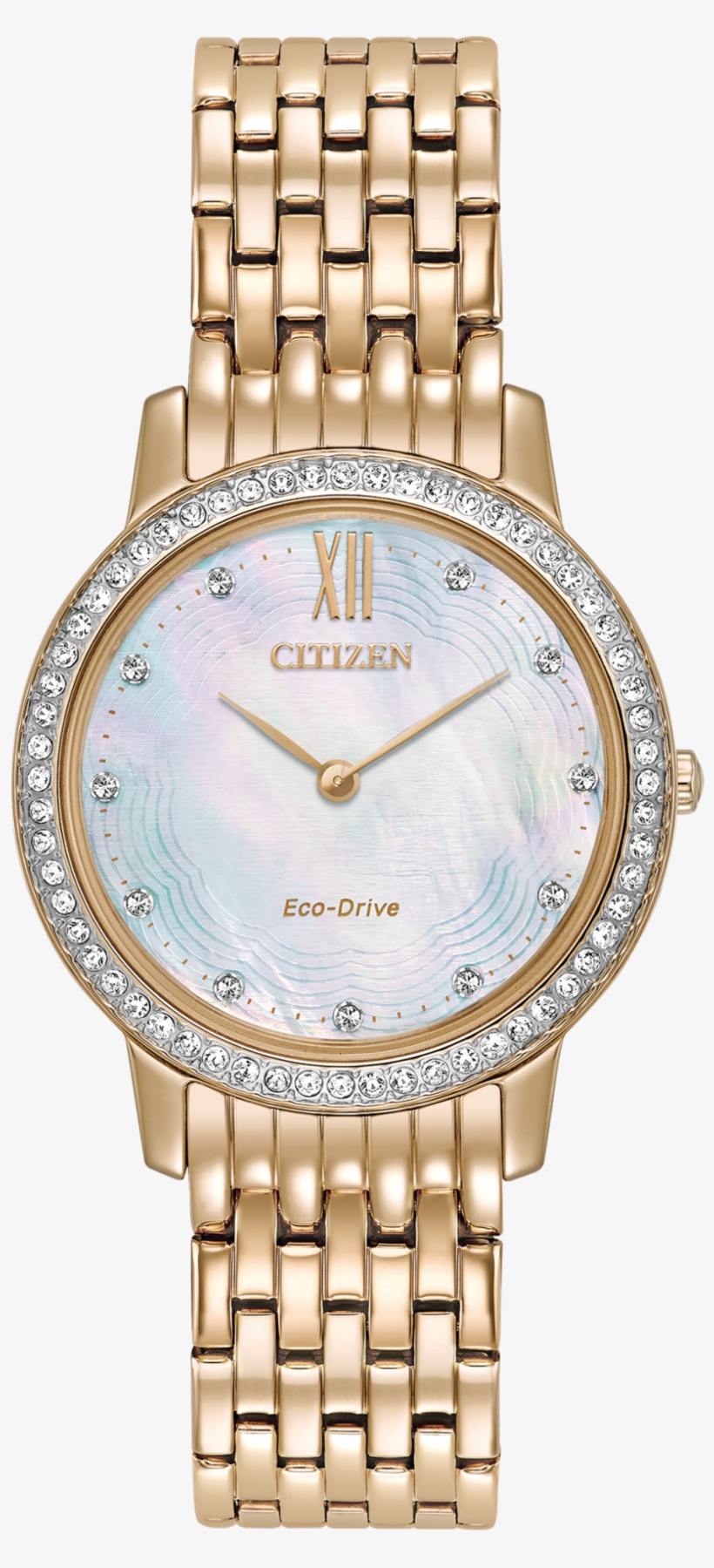 Images - Citizen Eco Drive Ladies Watch, transparent png download