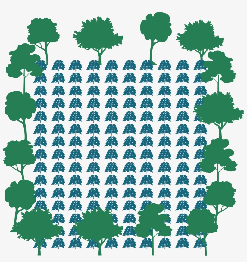 Perimeter Or Lines - Perimeter, transparent png download