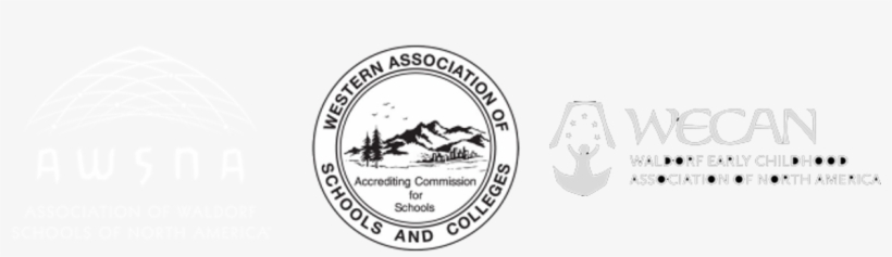 Accredited Member Of - Label, transparent png download