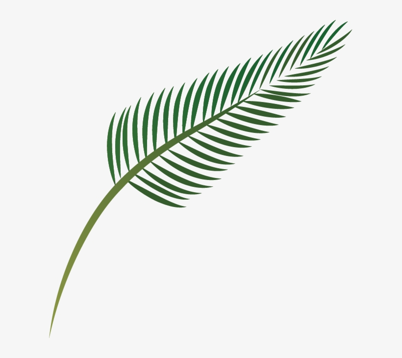 Null - Palm Branch, transparent png download