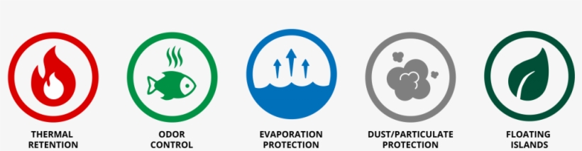 Five Reasons To Require A Pond Cover - Pond, transparent png download