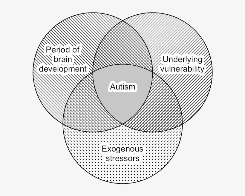 Venn-equal - Circle, transparent png download