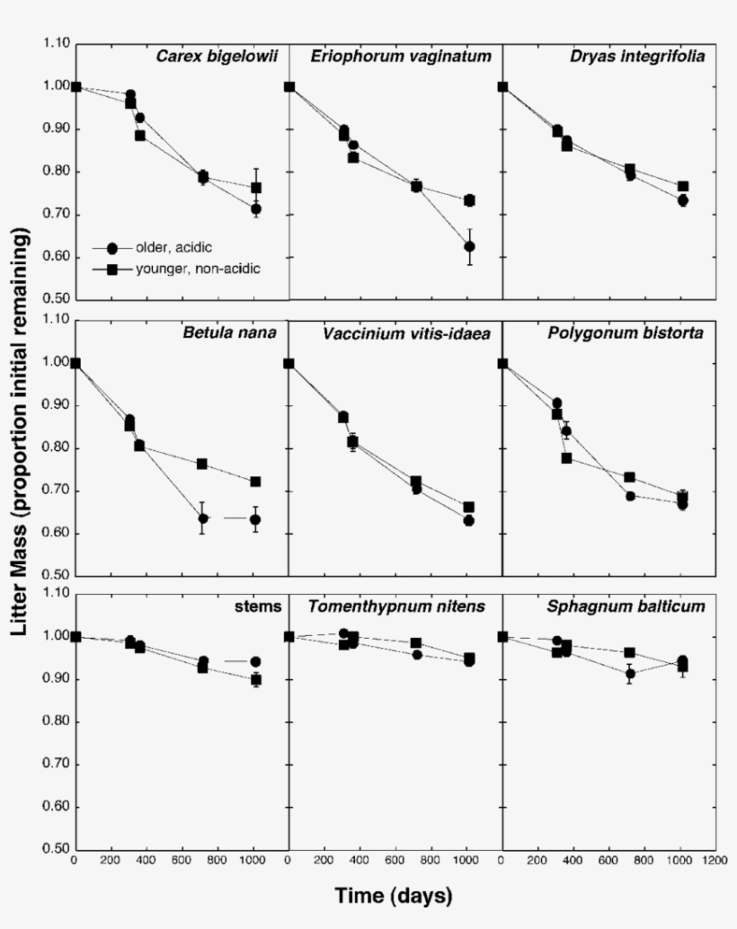 Decomposition Of Nine Substrates - Diagram, transparent png download