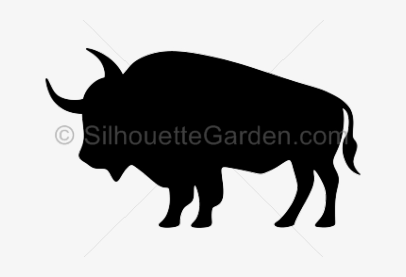 Buffalo Silhouette, transparent png download