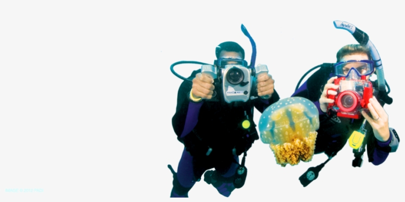 Underwater Diving Png Photo - Png Scuba Dive Kid, transparent png download
