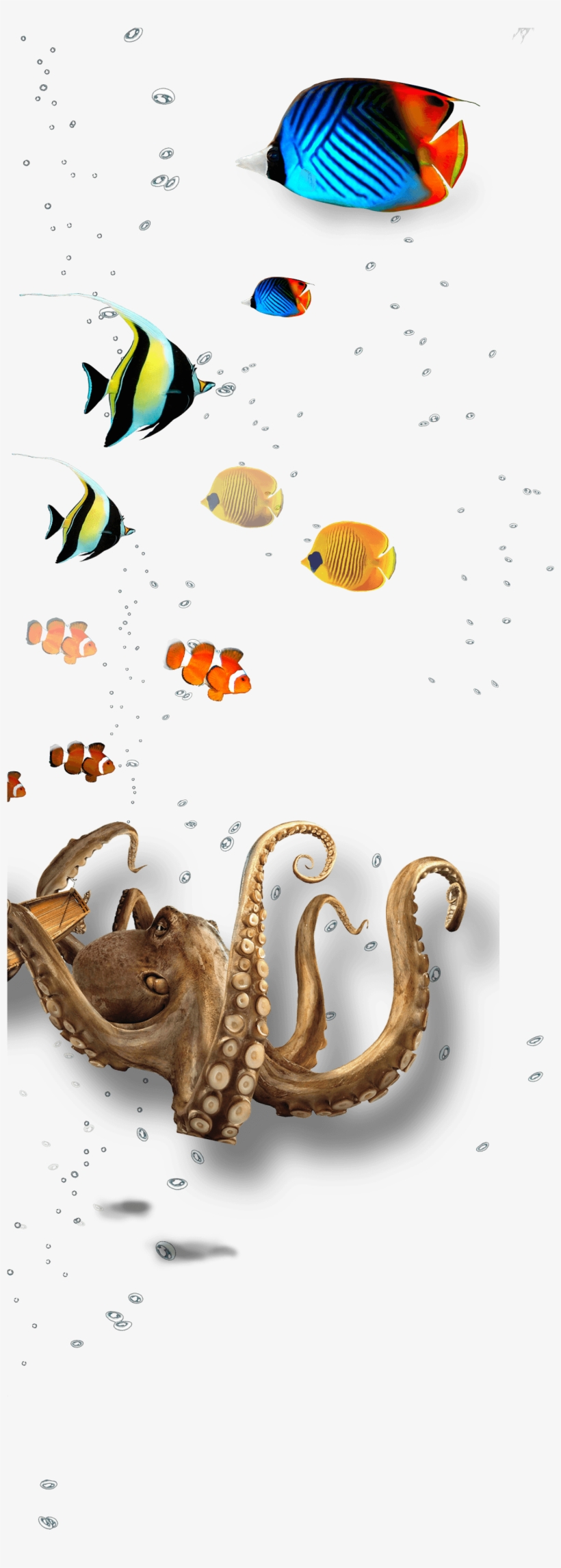 Underwater Layer 1 Full - Octopus, transparent png download