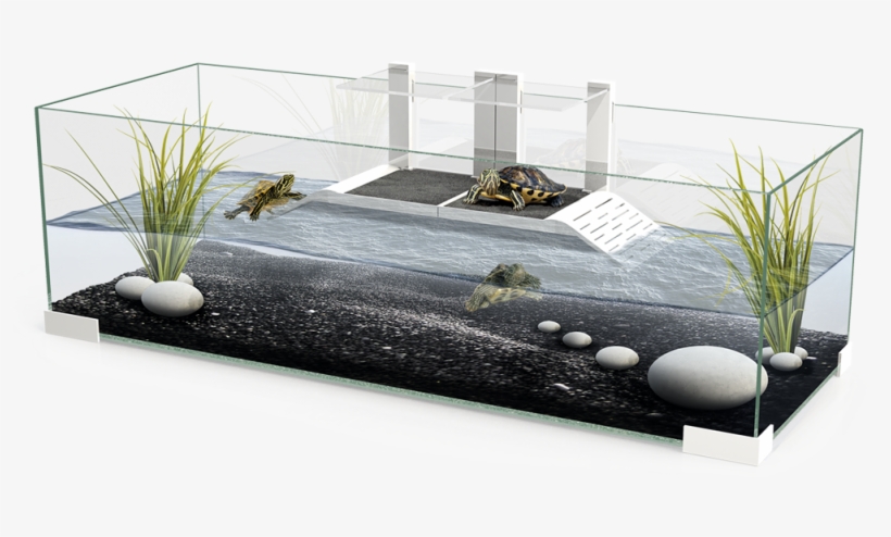 Equipment Included - Ciano White Tartarium 80, transparent png download