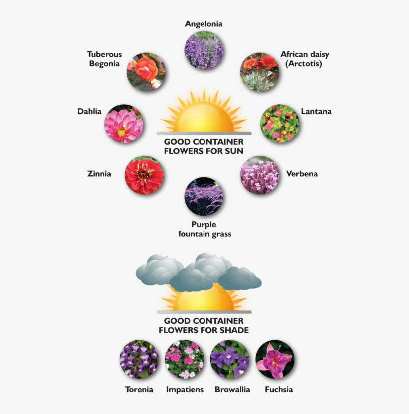 Chart, transparent png download