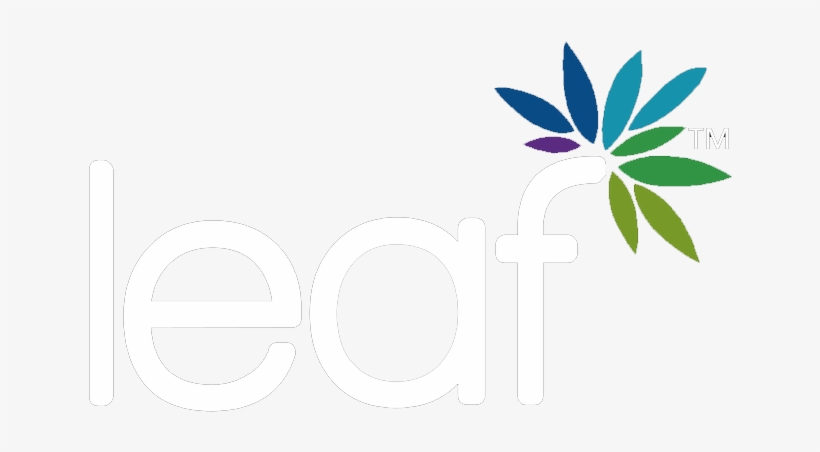 Leaf Artificial Plants And Topiary - Google Daydream, transparent png download