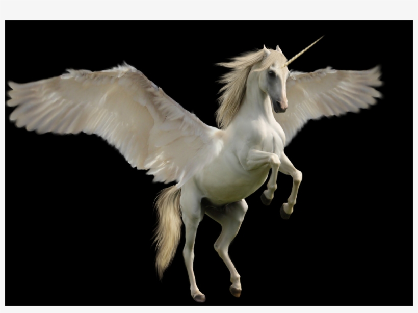 Unicorn Png Images - Pegasus, transparent png download