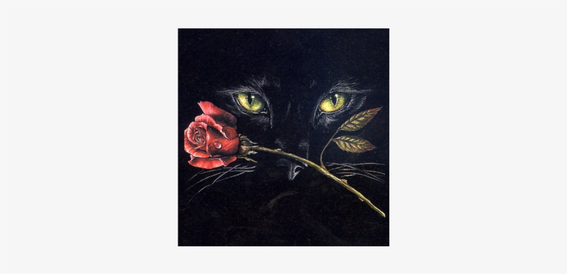 Seat Cover Connection Wild Breed Cat Eyes Uv Covers, transparent png download