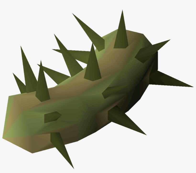 Potato Cactus, transparent png download