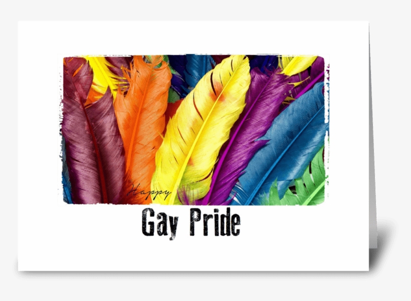 Gay Pride Feathers Greeting Card - Lloyd Tv 40 Inch, transparent png download
