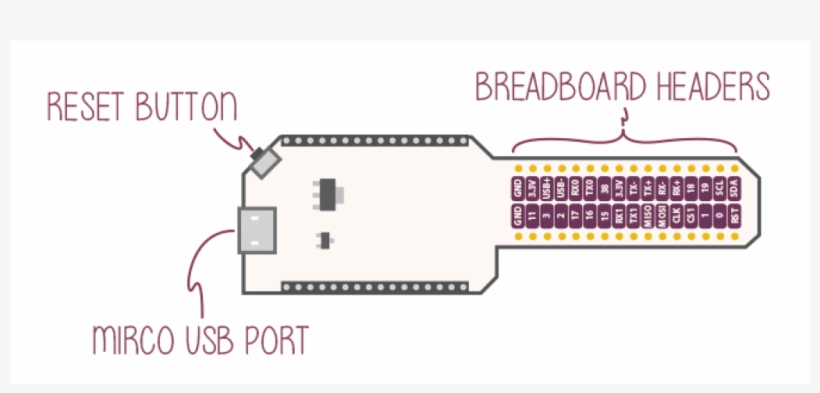 Onion Breadboard Dock, transparent png download