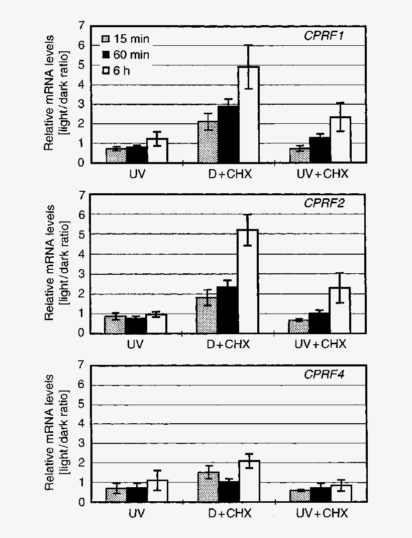 Relative Cprf Mrna Accumulation In Parsley Protoplasts - Diagram, transparent png download