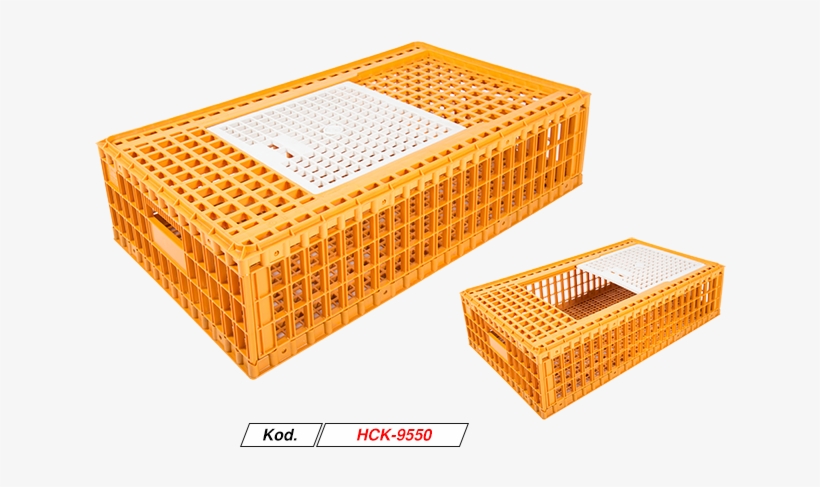 Chicken, transparent png download