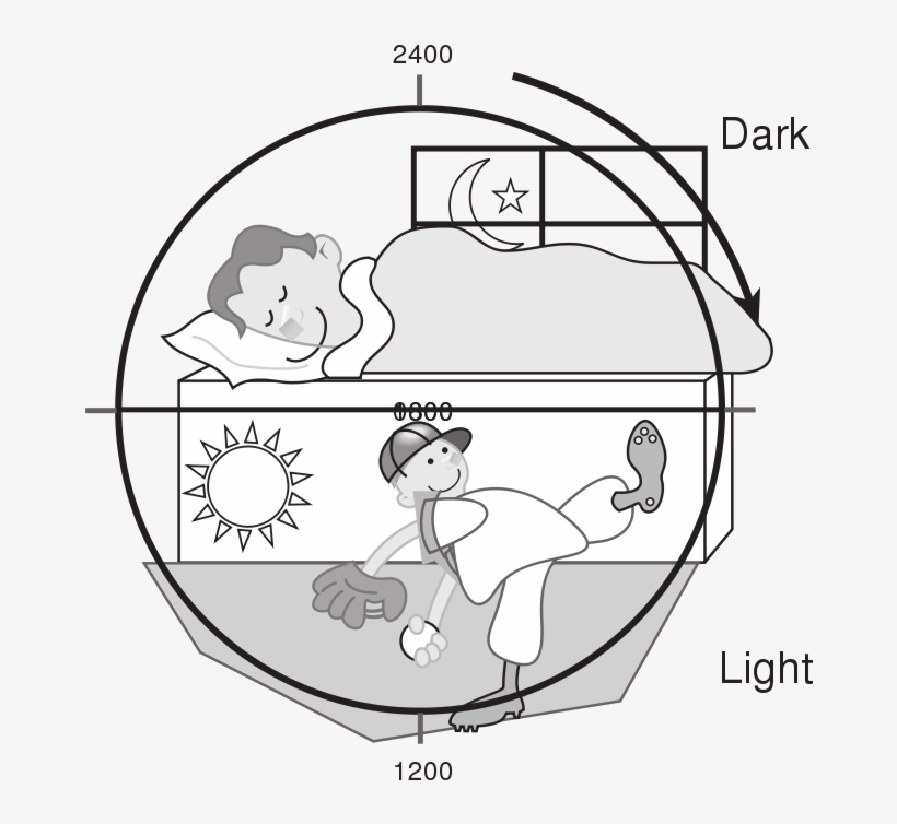 Day Night Concept Clipart Black And White, transparent png download