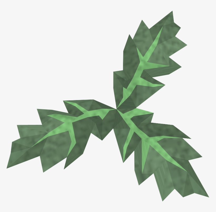 Clean Aloe Detail - English Oak, transparent png download