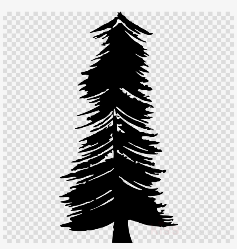 Tree Icon Transparent Background Clipart Fir Christmas - Icon, transparent png download